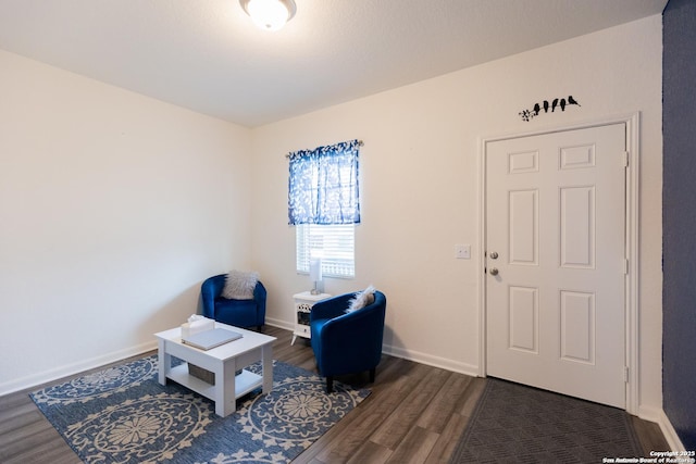 living area with dark hardwood / wood-style flooring