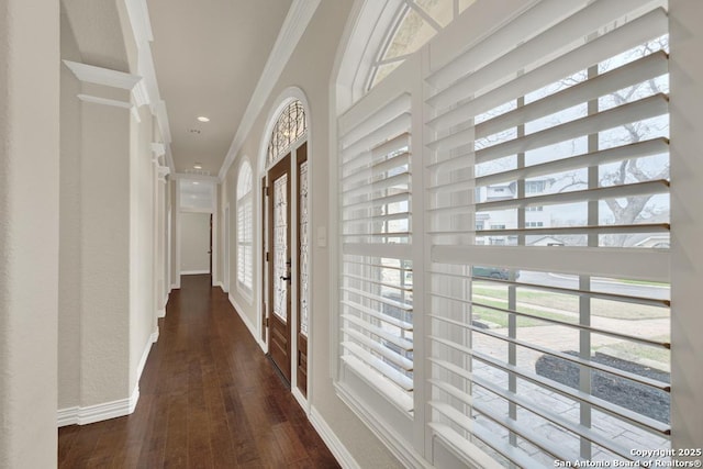 hall featuring crown molding and dark hardwood / wood-style floors