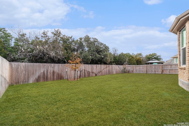 10732 Merrick Run, San Antonio, TX 78254 - view of yard