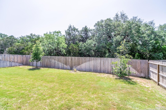 10732 Merrick Run, San Antonio, TX 78254 - view of yard
