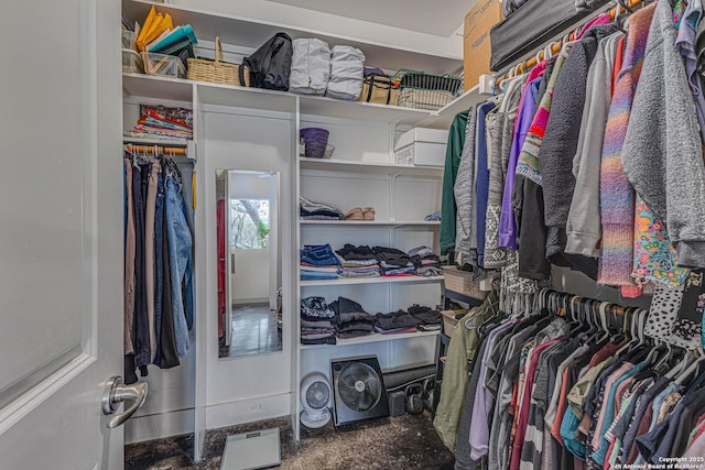 view of spacious closet