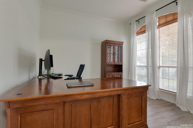 office with ornamental molding and light wood-type flooring