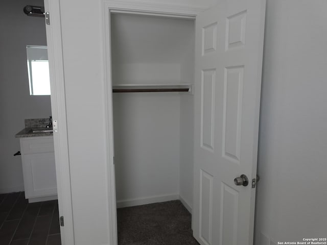 closet with sink