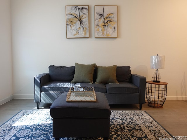 living room featuring wood-type flooring