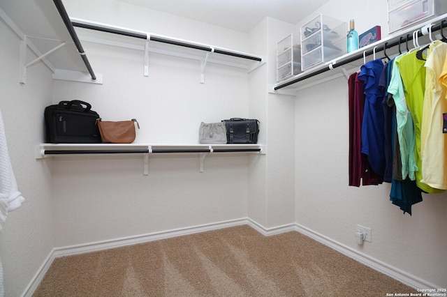 spacious closet featuring carpet