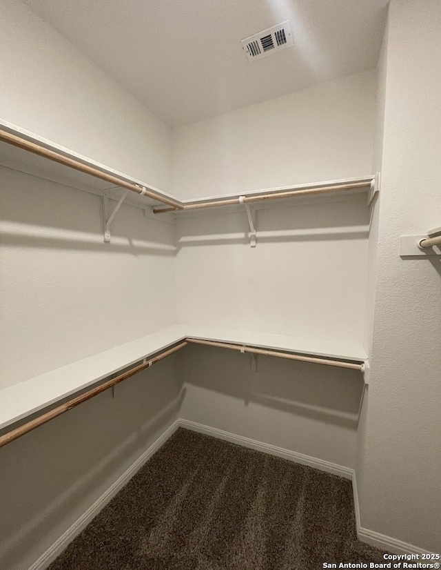 walk in closet featuring carpet
