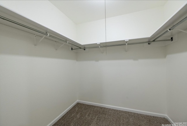 walk in closet with carpet