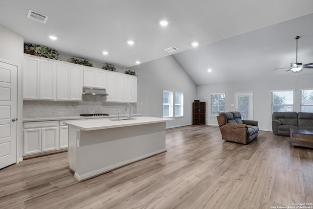 kitchen with white cabinetry, sink, light hardwood / wood-style floors, and a kitchen island with sink