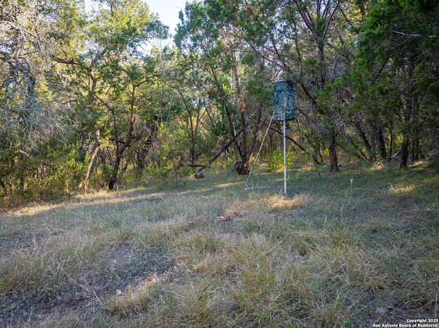 view of landscape