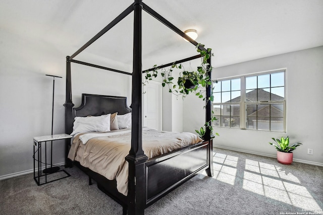 bedroom with carpet floors