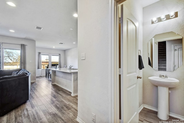 bathroom with hardwood / wood-style flooring and sink