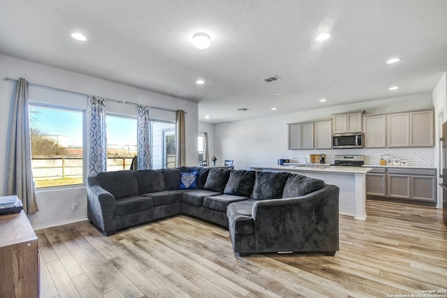 living room with light hardwood / wood-style flooring