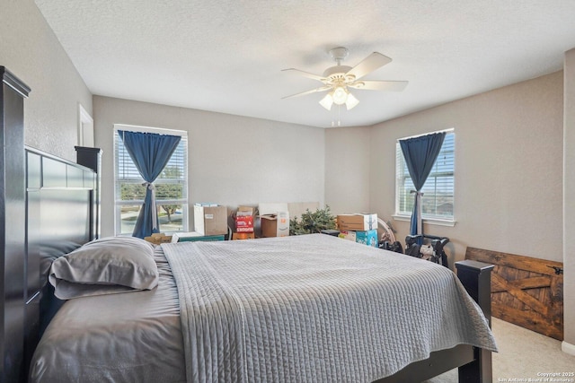 carpeted bedroom featuring multiple windows, ceiling fan, and a textured ceiling