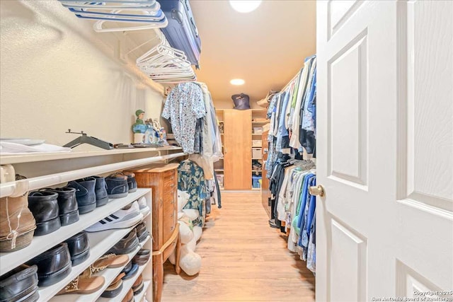 spacious closet with light hardwood / wood-style flooring