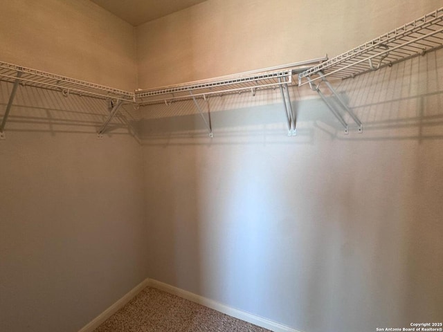 spacious closet with carpet