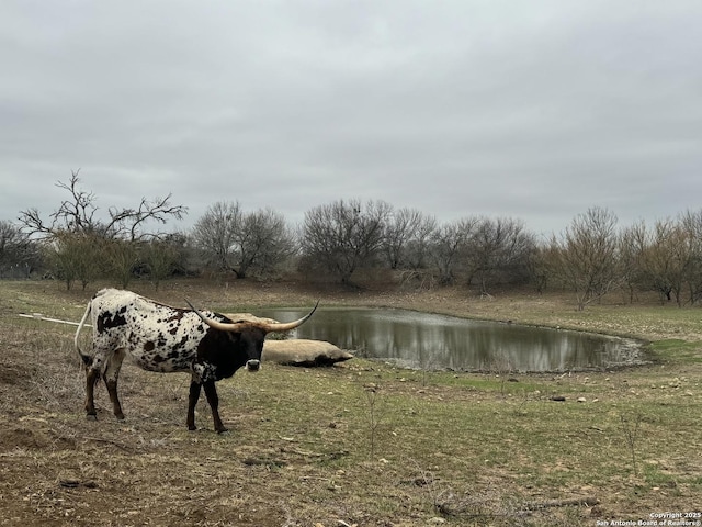 3075 County Road 5710, Devine TX, 78016 land for sale