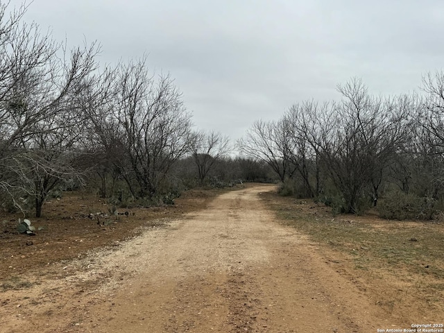 Listing photo 2 for 3075 County Road 5710, Devine TX 78016