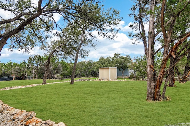 view of yard with a storage unit