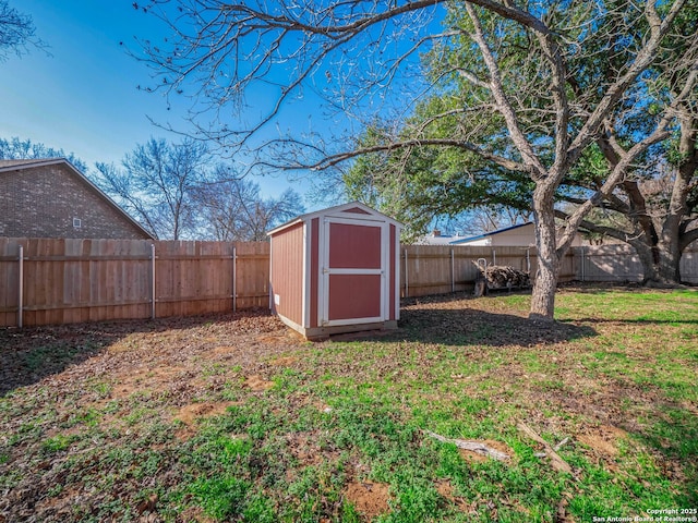 view of yard featuring a shed