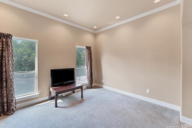 office space with a healthy amount of sunlight, carpet floors, and crown molding