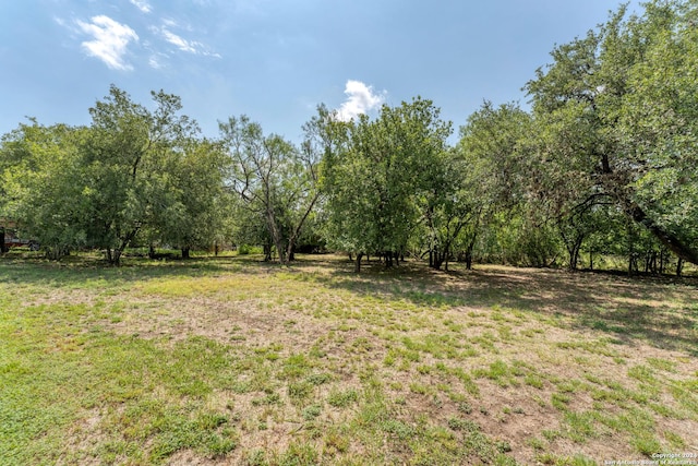 view of yard featuring a rural view