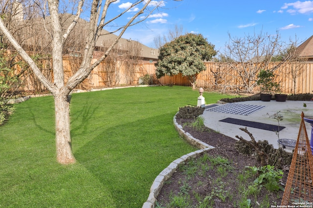 view of yard featuring a patio area