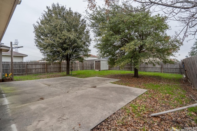 view of yard featuring a patio and a storage unit