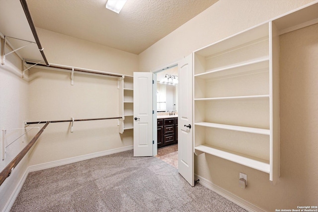 walk in closet featuring sink and light carpet