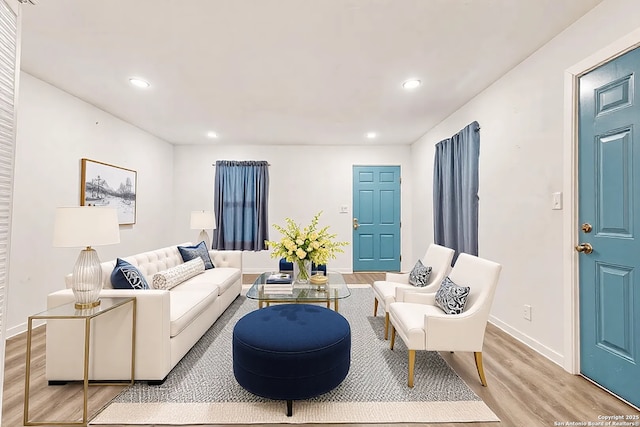 living room with light wood-type flooring