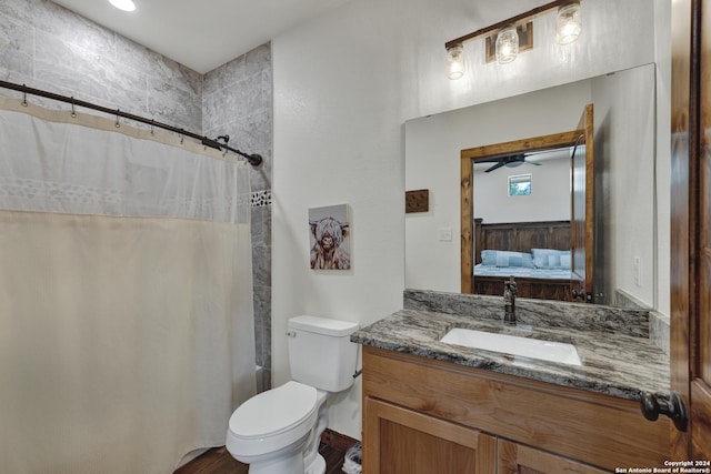 bathroom featuring vanity, toilet, and a shower with shower curtain