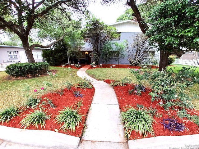 view of community with a yard