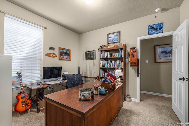 office space with light carpet and a textured ceiling