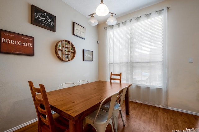 dining room with hardwood / wood-style flooring