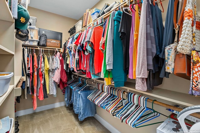 walk in closet with carpet floors