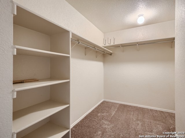 walk in closet with carpet