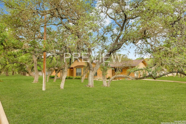 view of front of house featuring a front yard