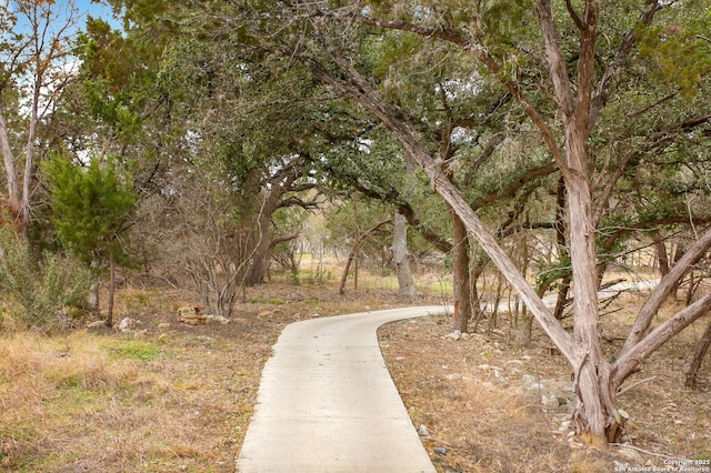 view of property's community