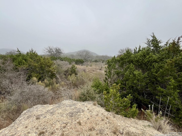 view of nature featuring a mountain view