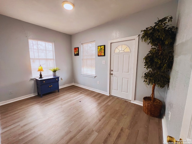 foyer with hardwood / wood-style flooring