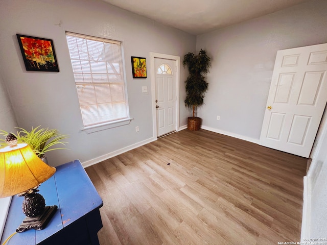 entrance foyer featuring wood-type flooring