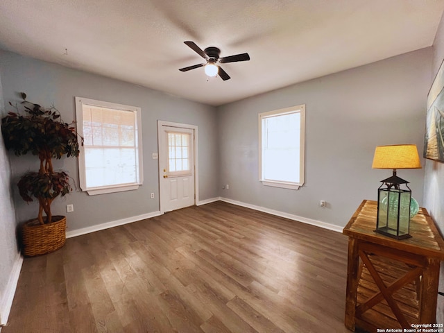 foyer with ceiling fan, dark hardwood / wood-style floors, and a wealth of natural light