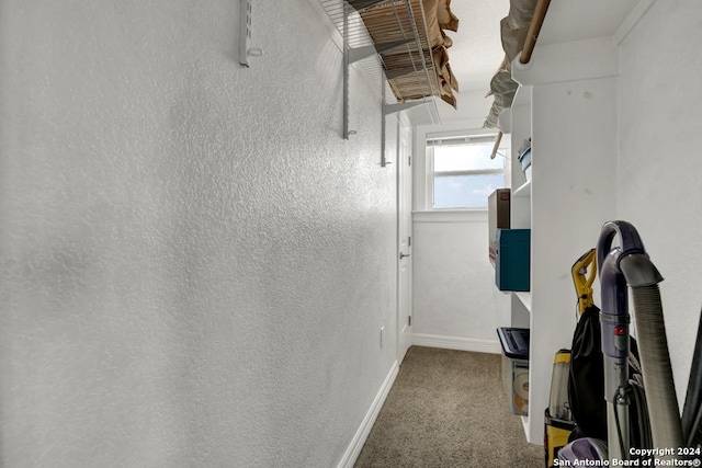 interior space with carpet