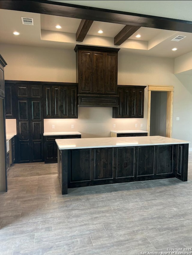1223 County Road 319, La Vernia, TX 78121 - kitchen featuring beam ceiling, premium range hood, light wood-type flooring, light countertops, and recessed lighting