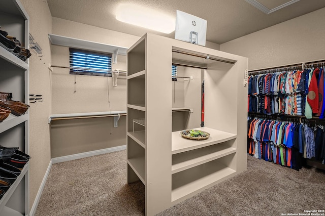 spacious closet with carpet