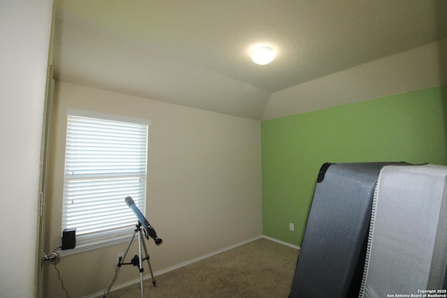 interior space with carpet floors and vaulted ceiling