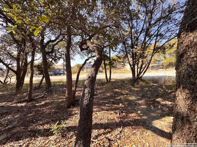 Listing photo 3 for TBD Westview Dr, Canyon Lake TX 78133