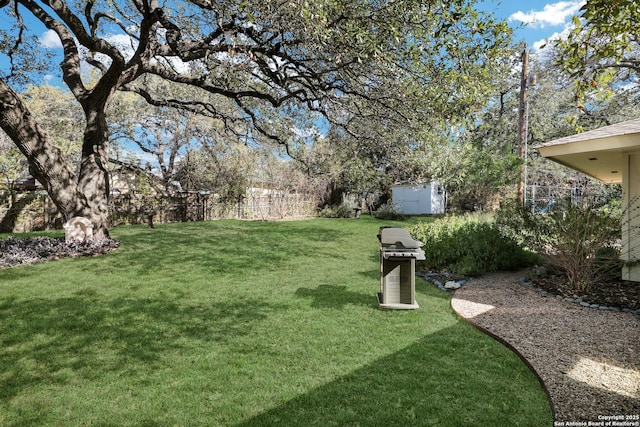 view of yard featuring a shed