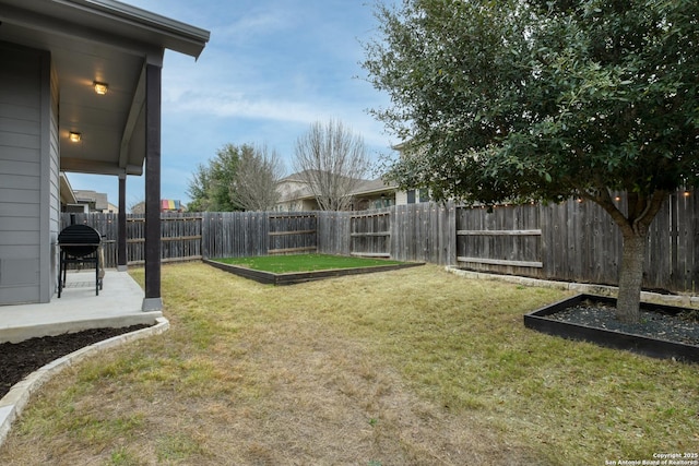 view of yard with a patio area