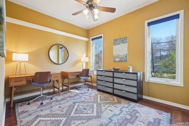 office featuring crown molding, dark wood-type flooring, and ceiling fan