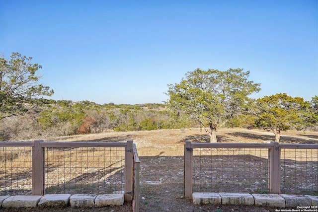 view of yard with a rural view